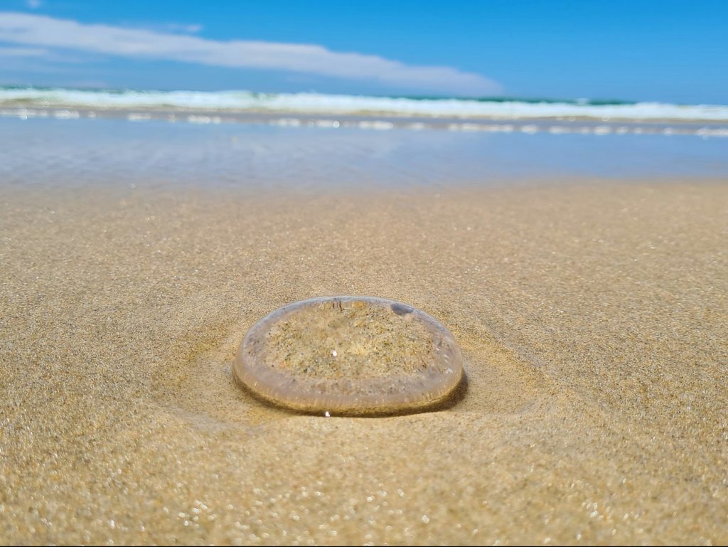 Queensland's Gold Coast, Australien