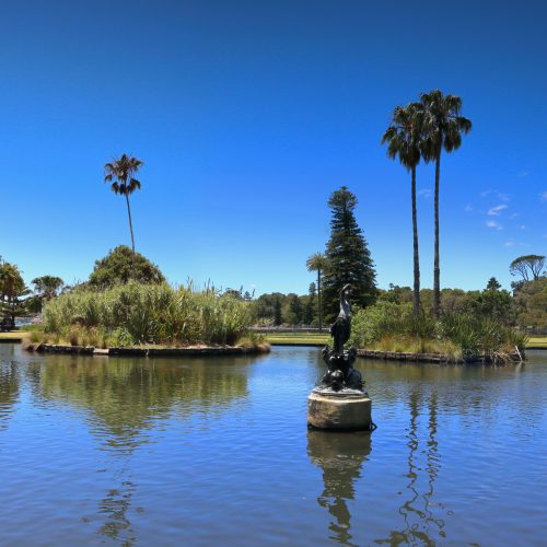 sydney-royal-botanic-garden-simon-hurry-ERg5Iz2JoR4-unsplash sydney-royal-botanic-garden-simon-hurry-ERg5Iz2JoR4-unsplash