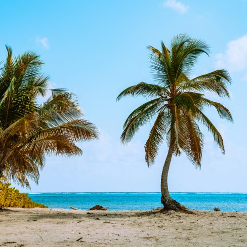 Aubergris Caye​, Belize