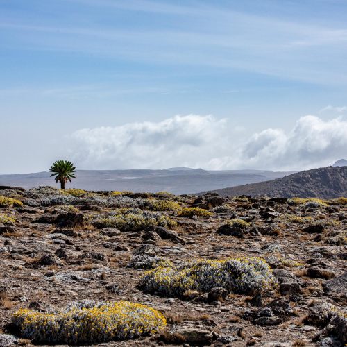 Bale Mountains National Park, Äthiopien Bale Mountains National Park, Äthiopien