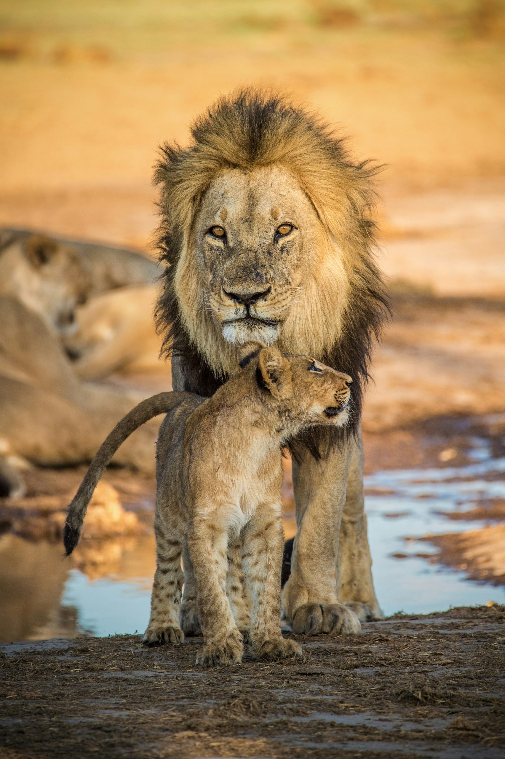 Botswana