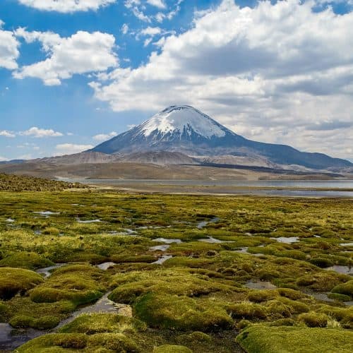 Lauca-Nationalpark, Chile Lauca-Nationalpark, Chile