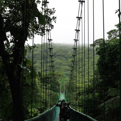 Monteverde Nebelwaldreservat Monteverde Nebelwaldreservat