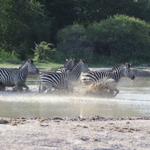 Nxai-Pan, Botswana Nxai-Pan, Botswana