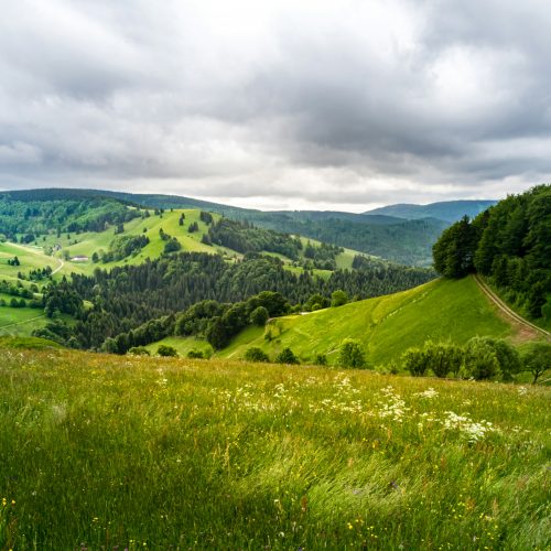 Schwarzwald, Deutschland Schwarzwald, Deutschland