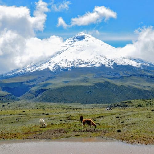 Cotopaxi, Ecuador Cotopaxi, Ecuador