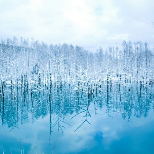 Hokkaido, Japan Hokkaido, Japan