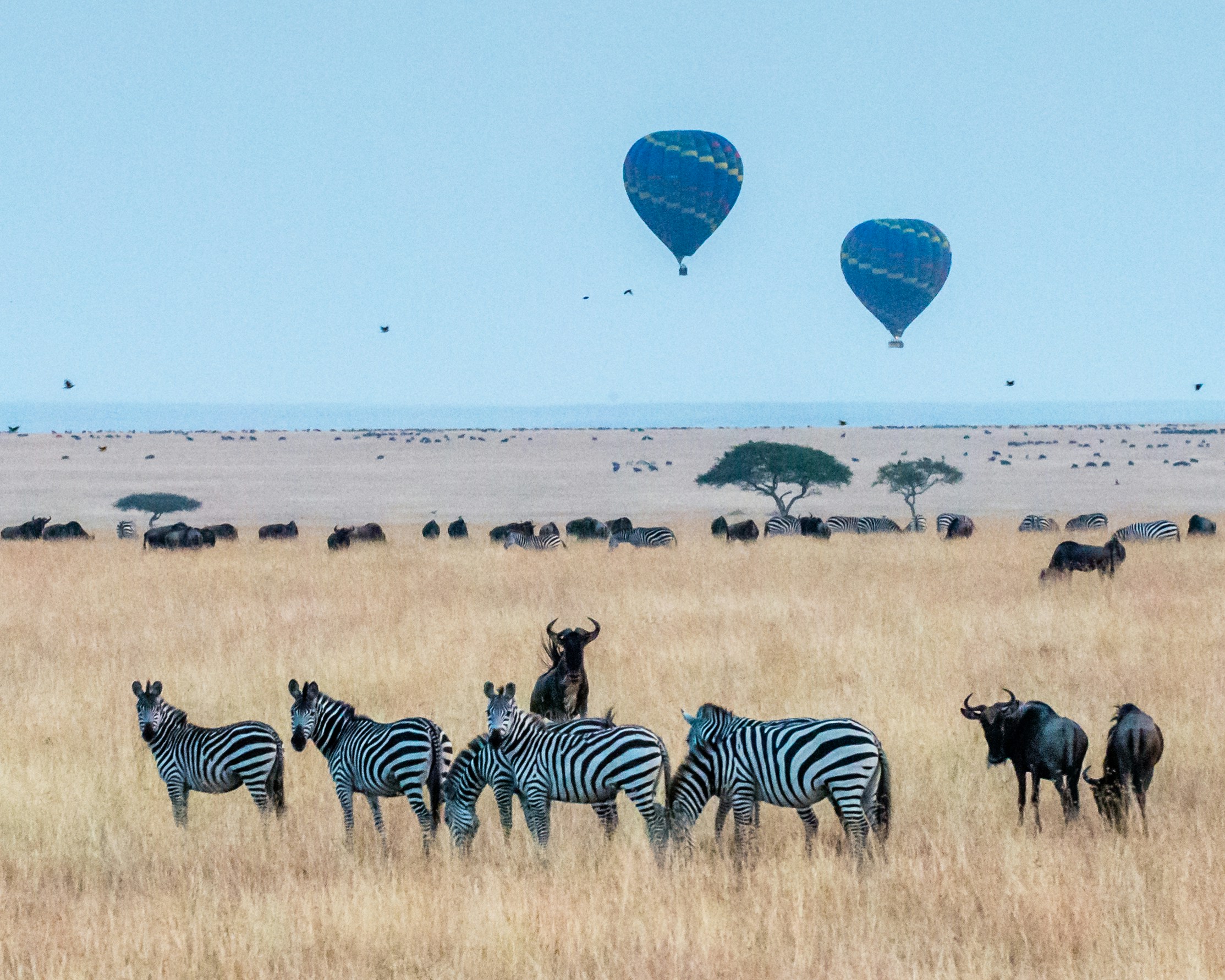 Kenia