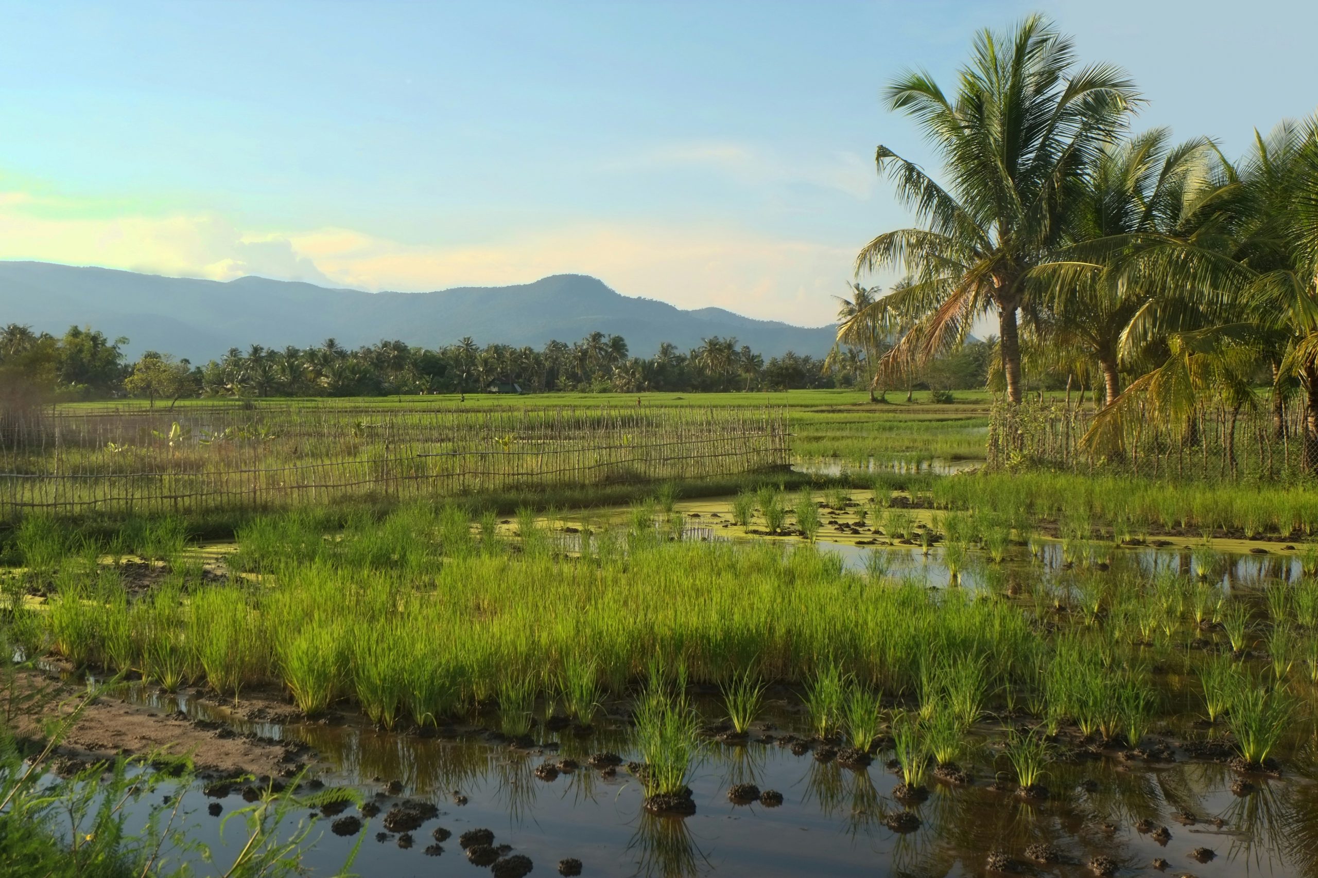 Kampot, Kambodscha Kampot, Kambodscha